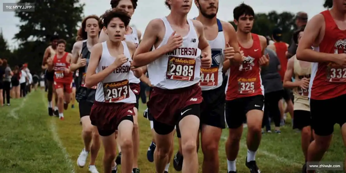 为什么选择我们